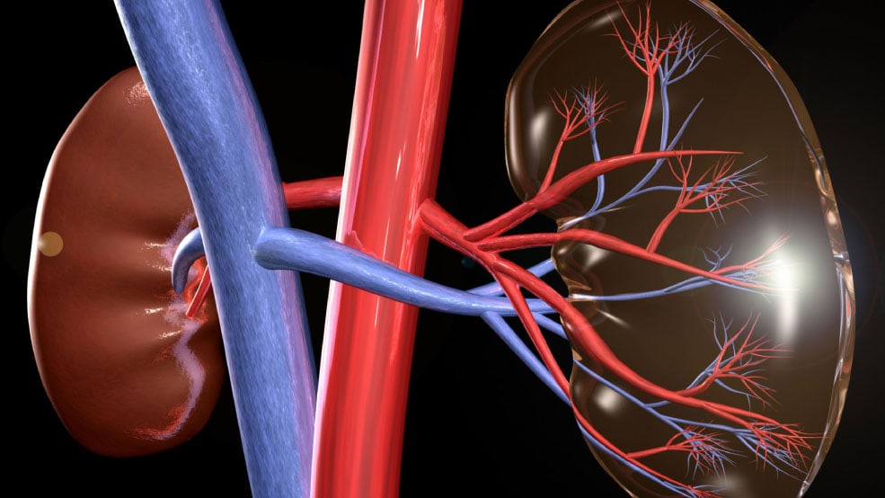 59% of Americans will develop kidney disease in their lifetime