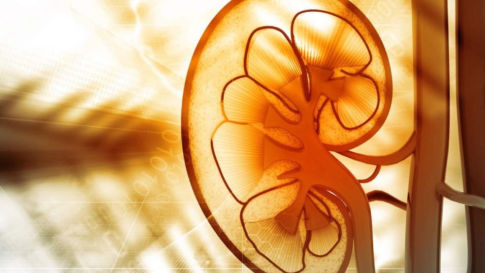 Clinical Research for Diabetic Kidney Disease