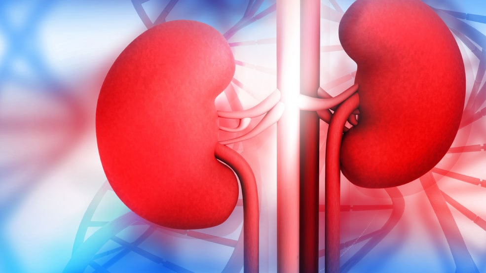 Keeping Kidneys Healthy