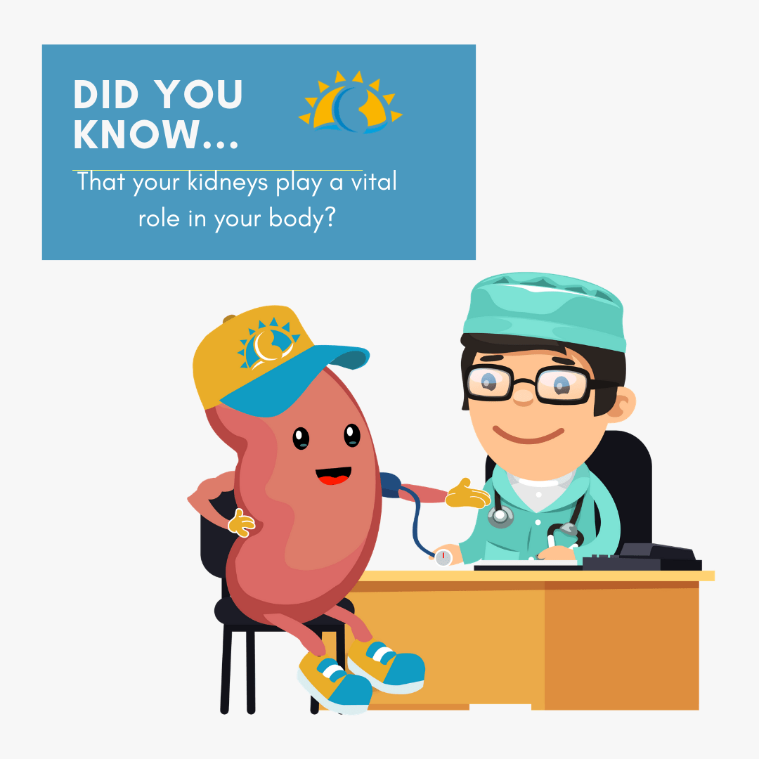 Did you know that your kidneys play a vital role in your body?