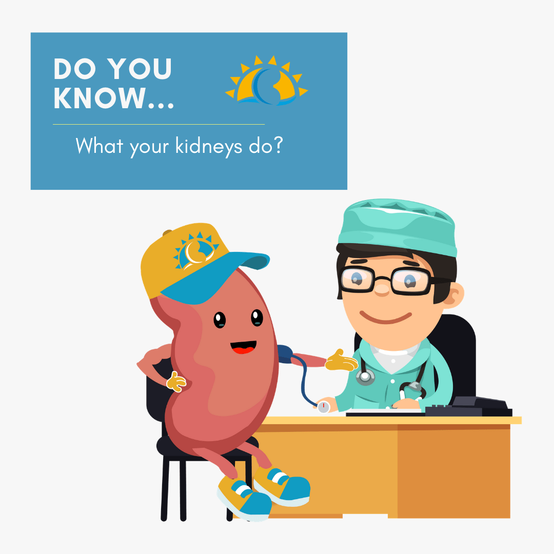 Do you know...? What your Kidneys do?