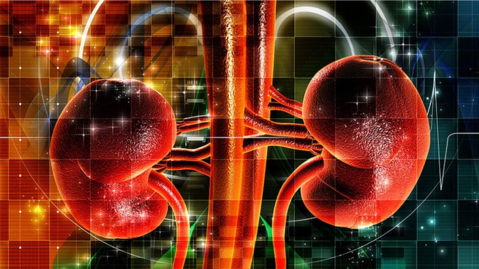 Predialysis Nephrology Care Predicts Health Outcomes