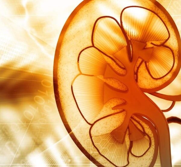 Clinical Research for Diabetic Kidney Disease 1 Clinical research diabetic Kidney